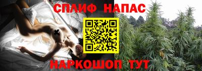 PSILOCYBIN Тверь
