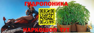 СК Тара