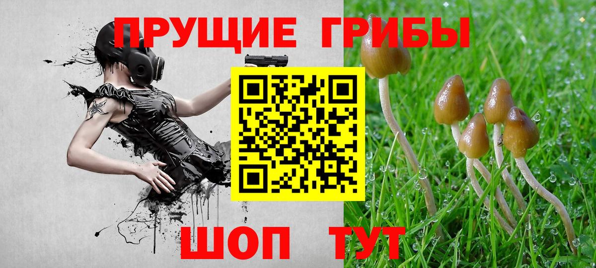 Псилоцибиновые грибы Psilocybine cubensis  Псилоцибиновые грибы мицелий  Вход с VPN  закладка  Новый Уренгой 